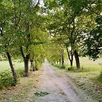 Apartmán Ablakaludra Aszofoi *