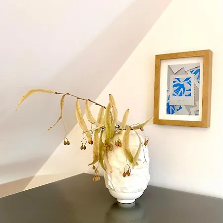 Ablakalúdra Aszófői *