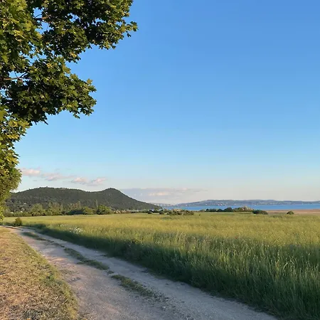 Ablakalúdra Aszófői *